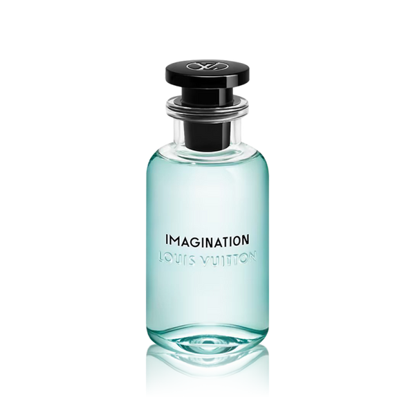 Imagination Louis Vuitton for men
